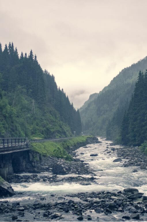 Landscape photo of Norway along road - Nature photography