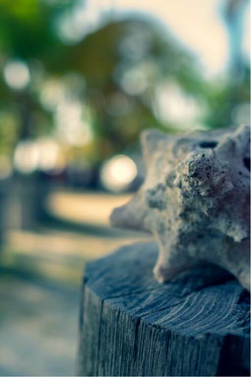 Another photo taken during the Pan Am 2019 games in Trinidad and Tobago on Pigeon Point beach.